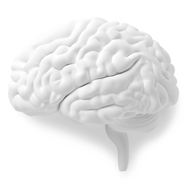 Nemechek Autonomic Recovery Why Brain