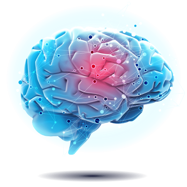 Nemechek Autonomic Medicine Brain Image