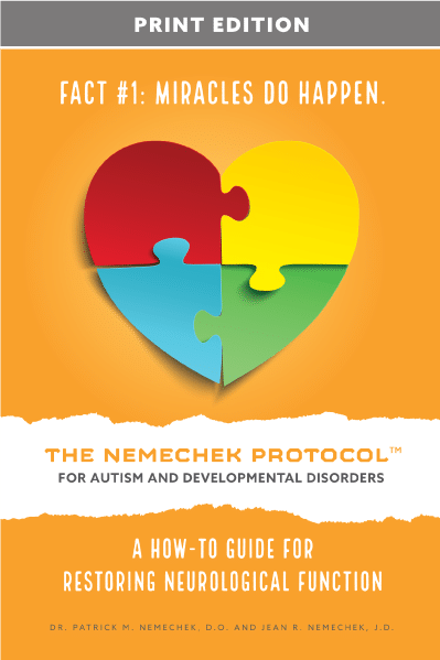 The Nemechek Protocol for Autism
